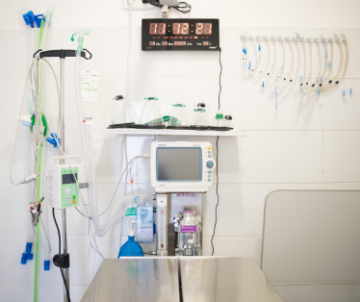 instalaciones veterinaria Joe Black quirófano