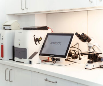 imagen laboratorio veterinaria Joe Black