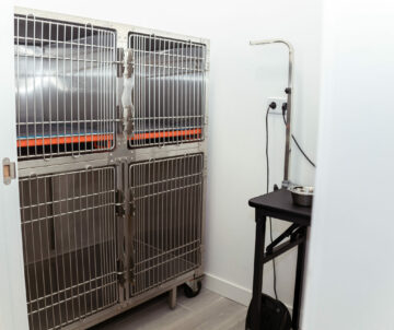 servicio de hospitalización veterinaria Joe Black