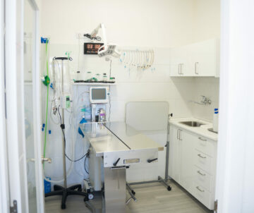 imagen quirófano veterinaria Joe Black